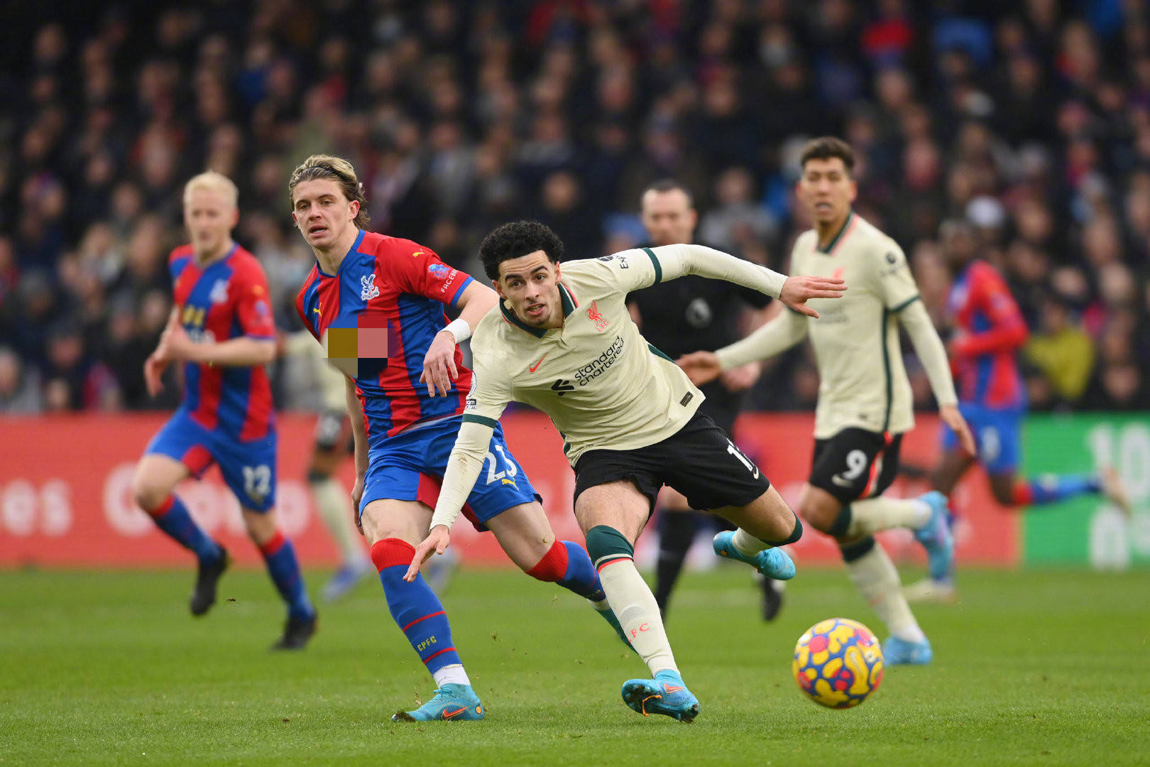 她通过与张 她通过与张